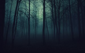 Create meme: scary forest, forest fog, night forest