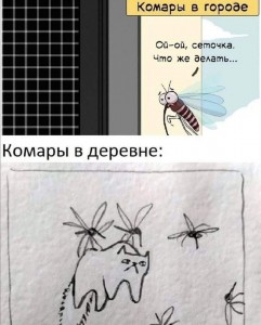 Create meme: the mosquito