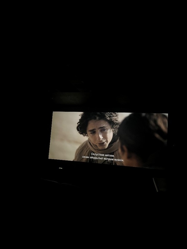 Create meme: timothy chalamet dune, a frame from the movie, timothy chalamet