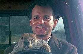 Создать мем: groundhog day, день сурка 1993, день сурка / groundhog day (1993)