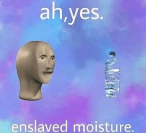 Создать мем: ah yes enslaved moisture, dank, succ