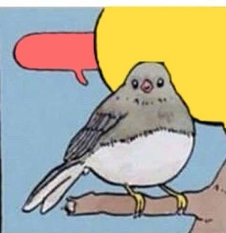 Создать мем: мем птичка, воробей и ворона мем, мемы с птичками