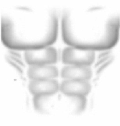 Create meme: shirt for roblox muscles, roblox muscles, roblox muscles t-shirt