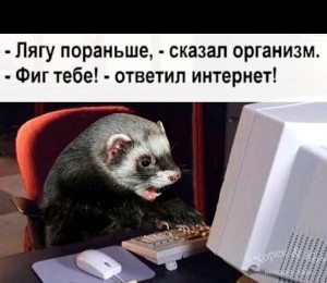 Создать мем: хорек в домашних условиях, домашний хорек, животное хорек