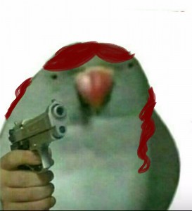 Создать мем: мемный попугай, мем с попугаем и пистолетом, попугай мем