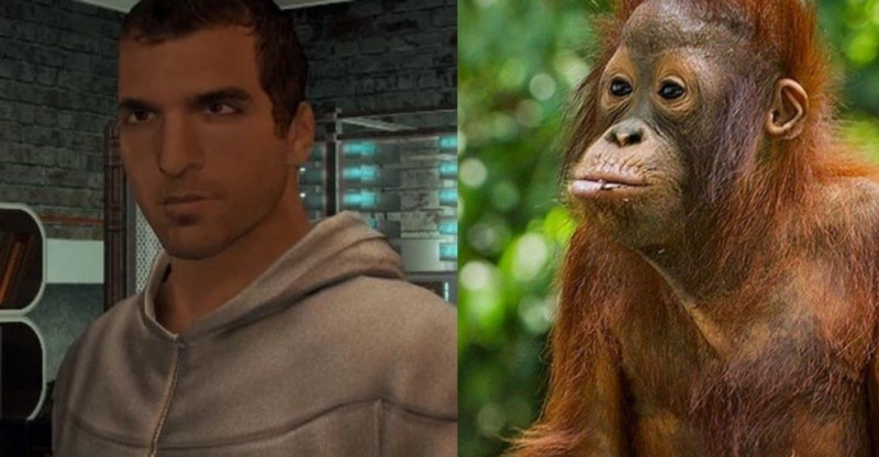 Create meme: monkey orangutan, orangutan monkey, orangutan