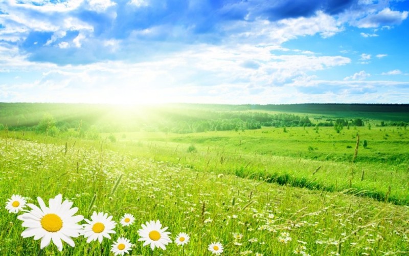 Create meme: summer field, summer is calling, beautiful scenery