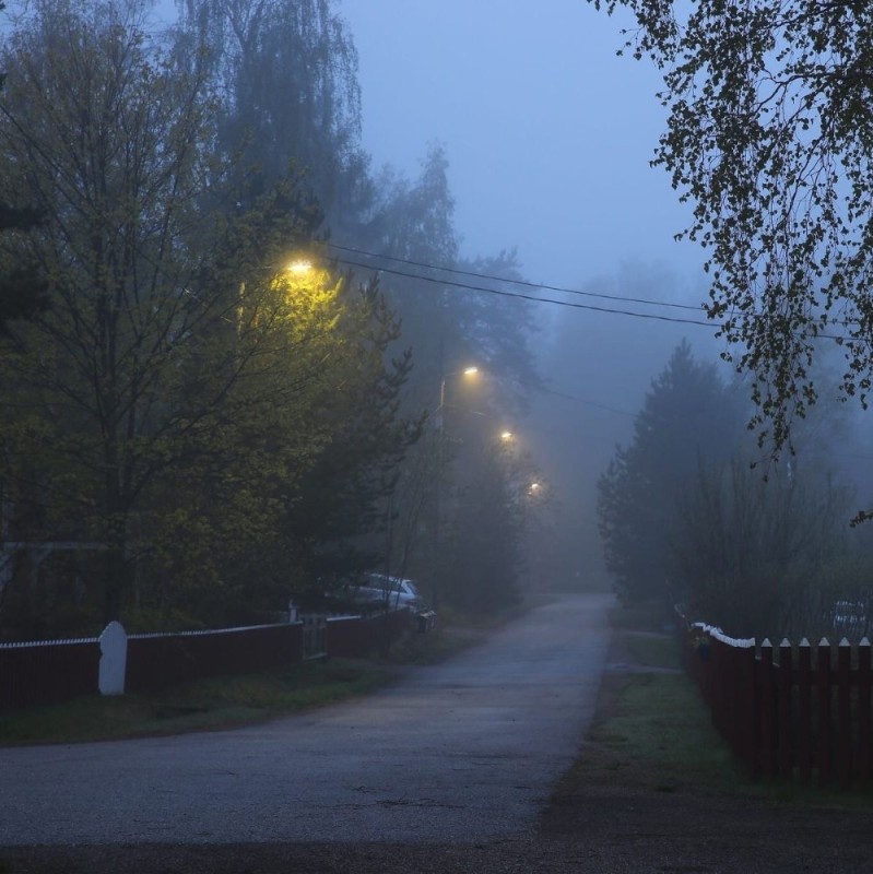 Create meme: foggy morning in the village, evening in the village, fog in the village