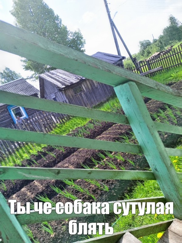 Create meme: the fence , rotten fence, fence with neighbors