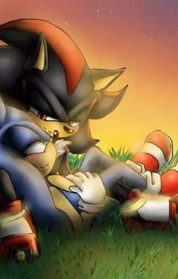 Create meme: hedgehog shadow, sonic and shadow, sonic and shadow love