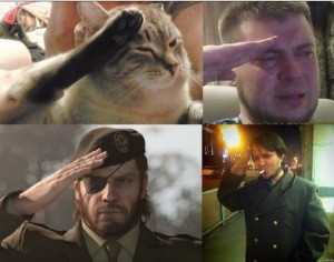 Create meme: cat salutes, solid snake salutes, cat salutes