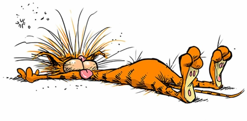 Create meme: tired cartoon cat, tired cat , tired cat