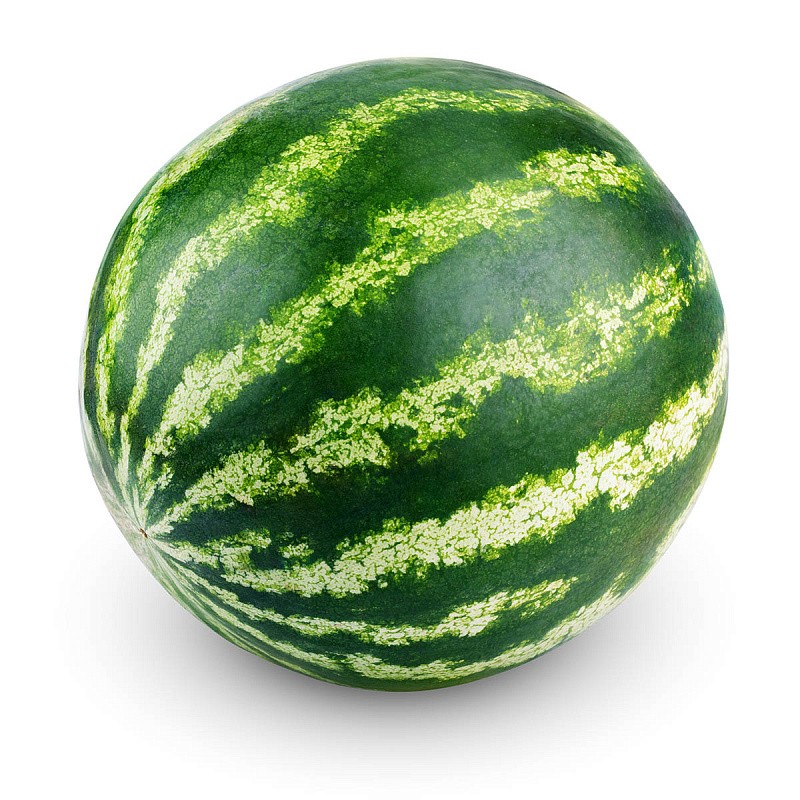 Create meme: ripe watermelon, watermelon on white background, melania watermelon variety