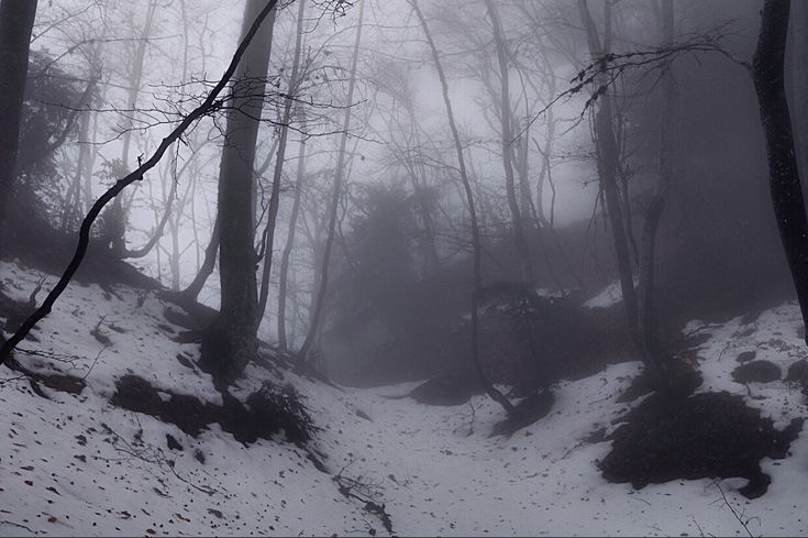 Create meme: dark forest, russian winter landscape, landscape 