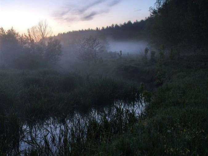 Create meme: morning river, misty dawn, landscape fog