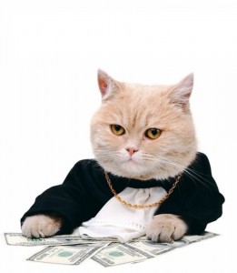 Create meme: cat, cat, business cat