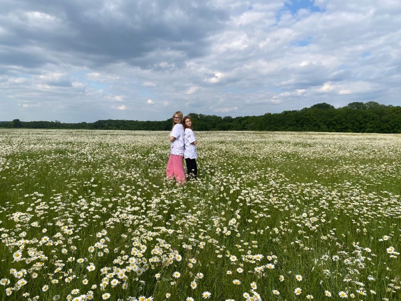 Create meme: girl , in the field of daisies, nature 