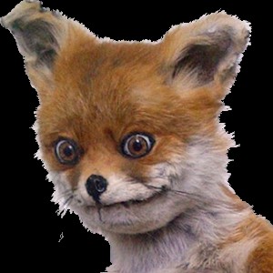 Create meme: Fox meme PNG, Fox meme, stoned Fox png