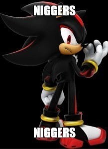 Create meme: shadow, hedgehog shadow