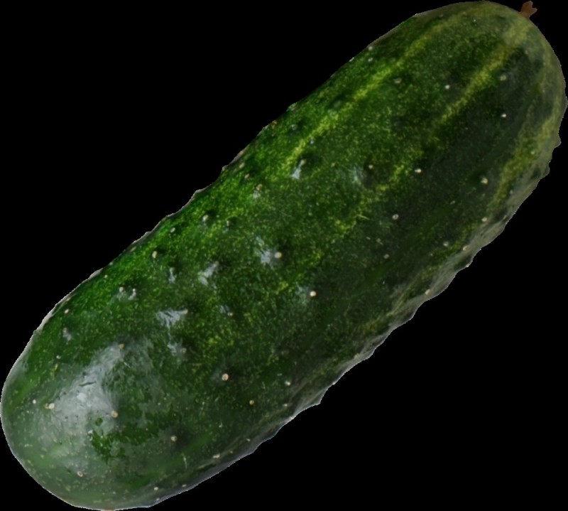 Create meme: ripe cucumber, cucumber , cucumber without background