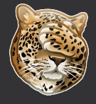 Create meme: leopard, Cheetah