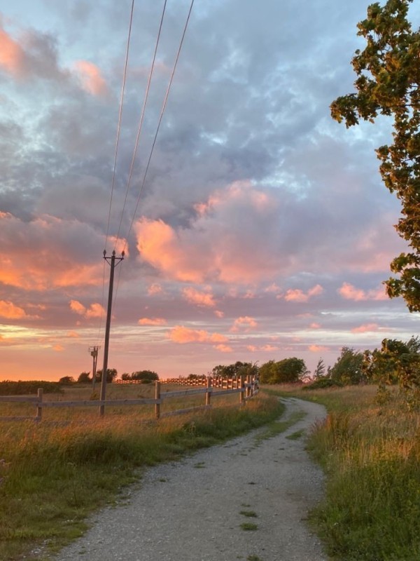 Create meme: road , dawn landscape, sunset 