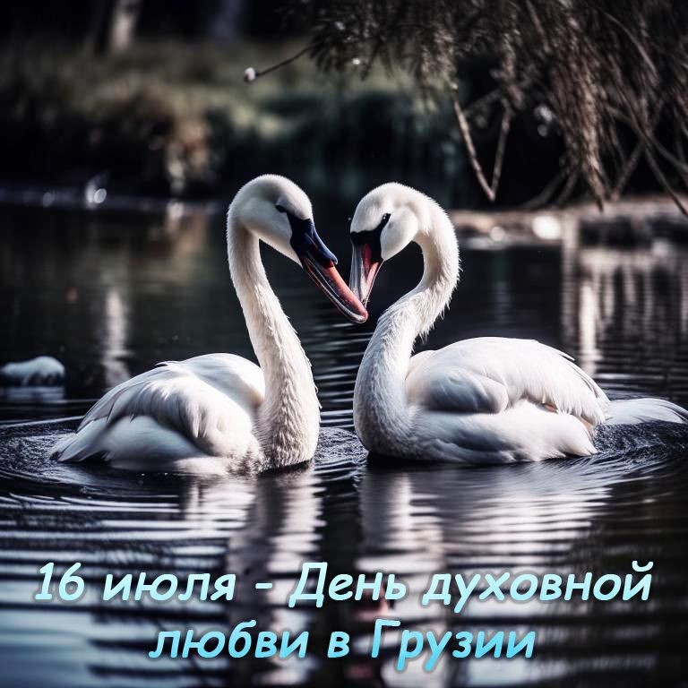 Create meme: swans love, swans, two swans