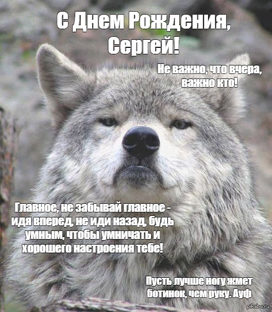 Создать мем "лобо волк, wolf" - Картинки - Meme-arsenal.com