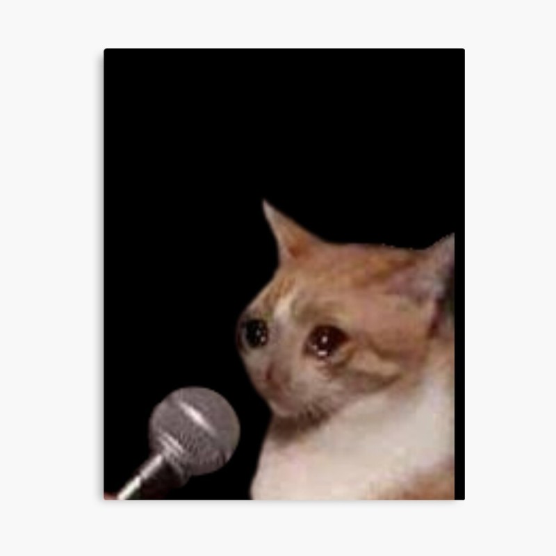 Создать мем: cat cry, кот с микрофоном мем, кот кашляет мем