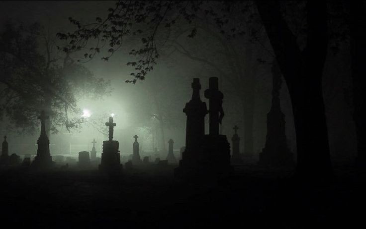 Create meme: cemetery background, cemetery , Dark forest cemetery