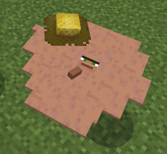 Create meme: minecraft , toad in minecraft pe, tadpole frogs minecraft