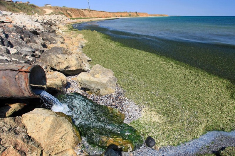 Создать мем: загрязнение водных ресурсов, сброс канализационных вод в черное море, загрязнение сточных вод