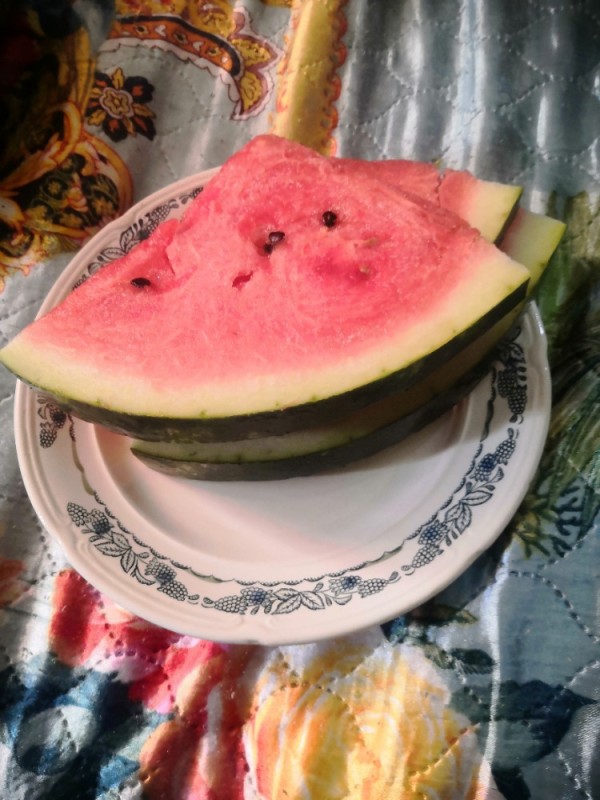 Create meme: watermelon , watermelon watermelon, homemade watermelon