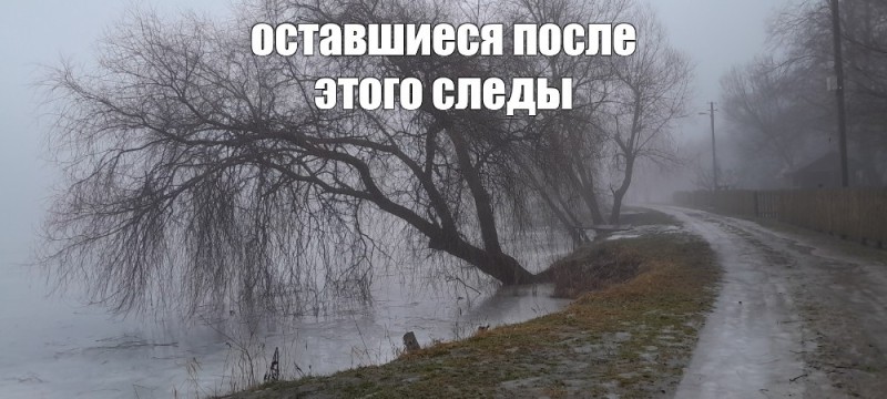Create meme: late rainy autumn, willow over the river, nature