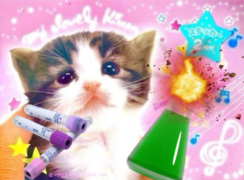 Create meme: cat , cat , a cat with a syringe