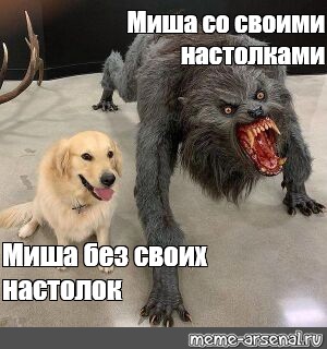 Создать мем: null