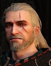 Create meme: Geralt of rivia Witcher 3, Geralt of rivia