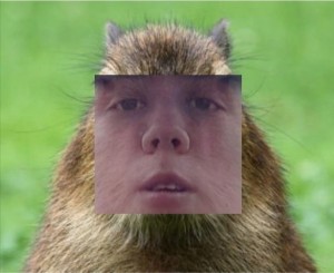 Create meme: the capybara, boy, capybara