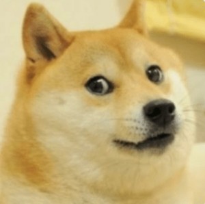 Создать мем: мем собака, doge мемы, мем doge