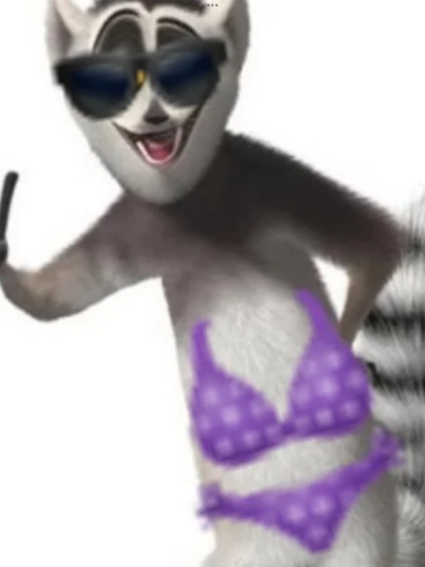 Create meme: Karol Julian and Maris from Madagascar, lemur julian from madagascar, lemur Julian