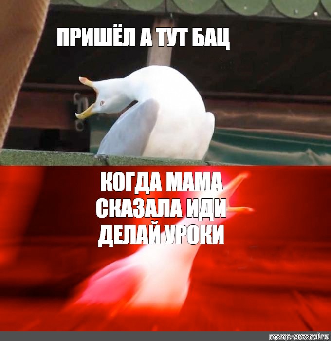 Работа бац