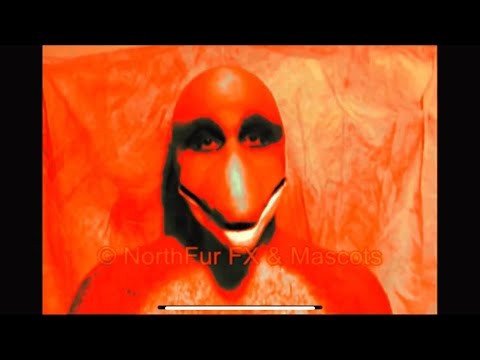 Create meme: scary dolphin, dolphin muzzle, Dolphin man tik tok