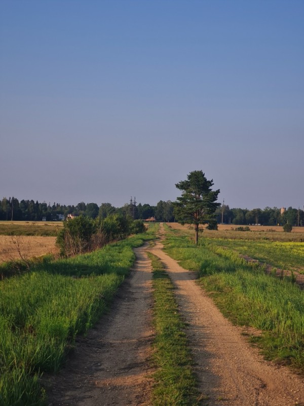 Create meme: a country road going into the distance, road field, summer road