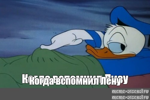 Donald Duck boner. Donald boner meme.