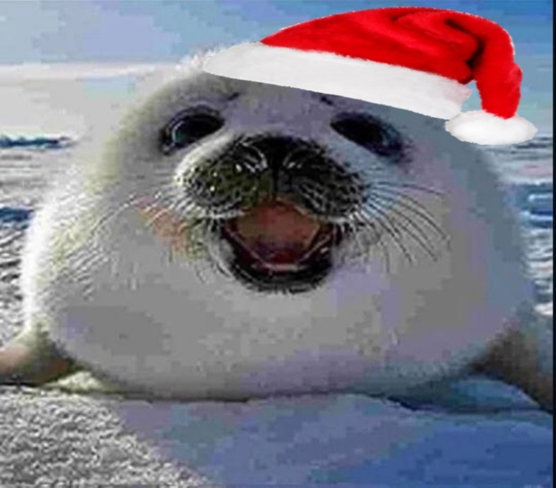 Create meme: Baikal seal Belek, the navy seal is funny, seals