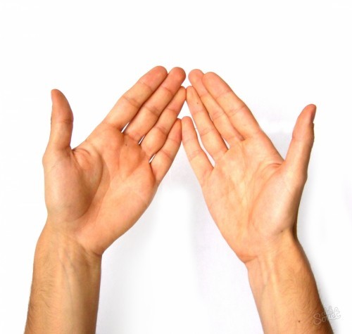 Create meme: fingers , two palms, human hand