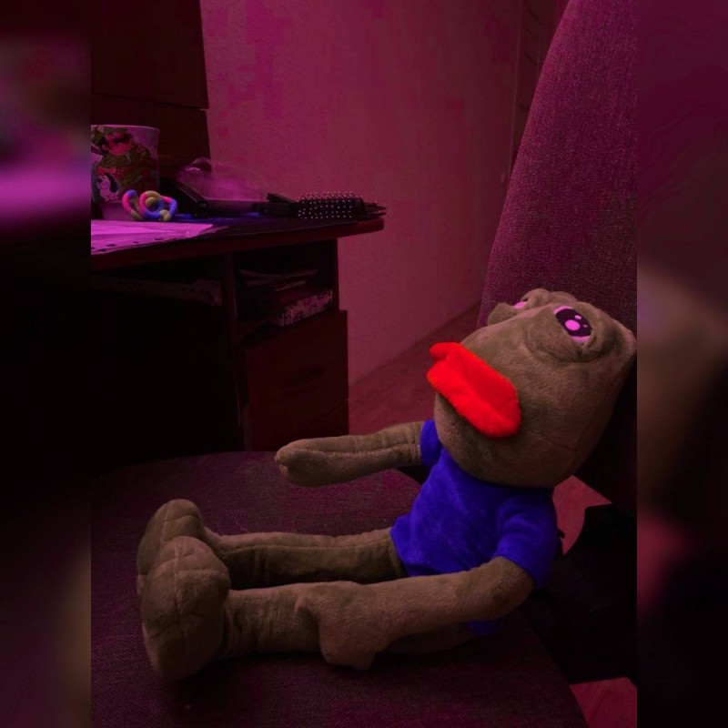 Create meme: kermit the frog toy, muppet show kermit, people 