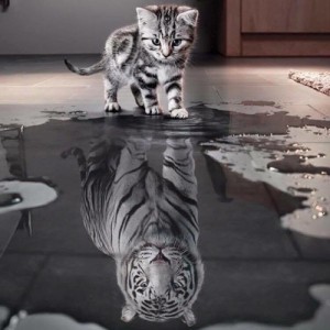 Create meme: cats, tiger, cat tiger