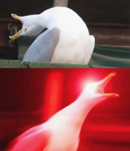 Create meme: a deep sigh, meme Seagull, screaming Seagull meme original