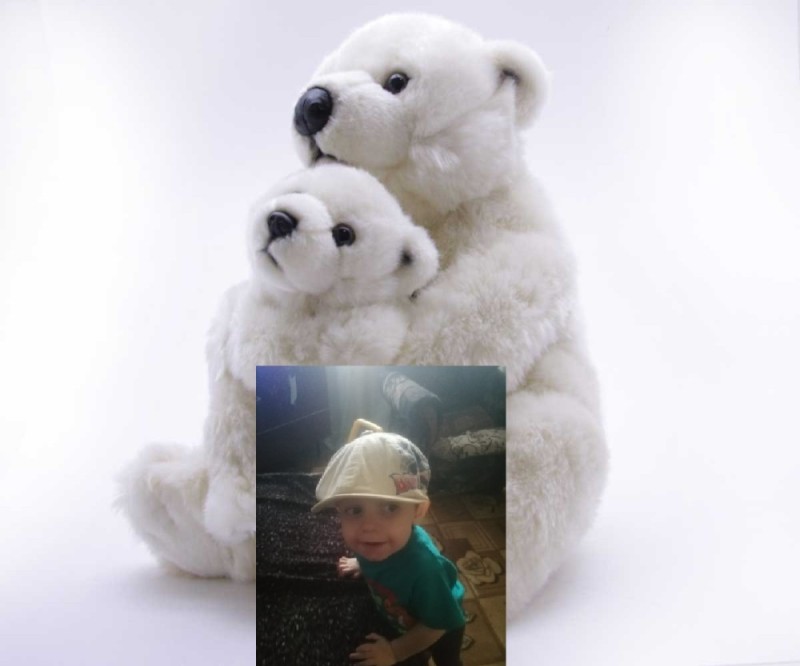 Create meme: WWF polar bear stuffed toy with a child 28 cm, polar bear toy, WWF soft toy bear